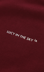 Oversize Zip-Up Hoodie in Burgundy